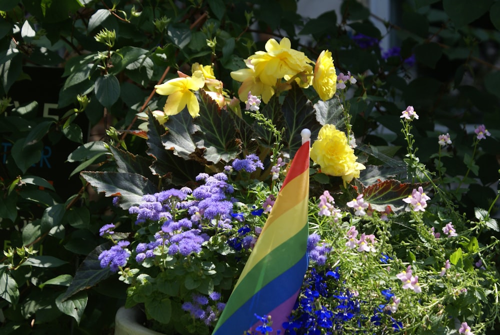 a rainbow flag sitting in the middle of a flower garden