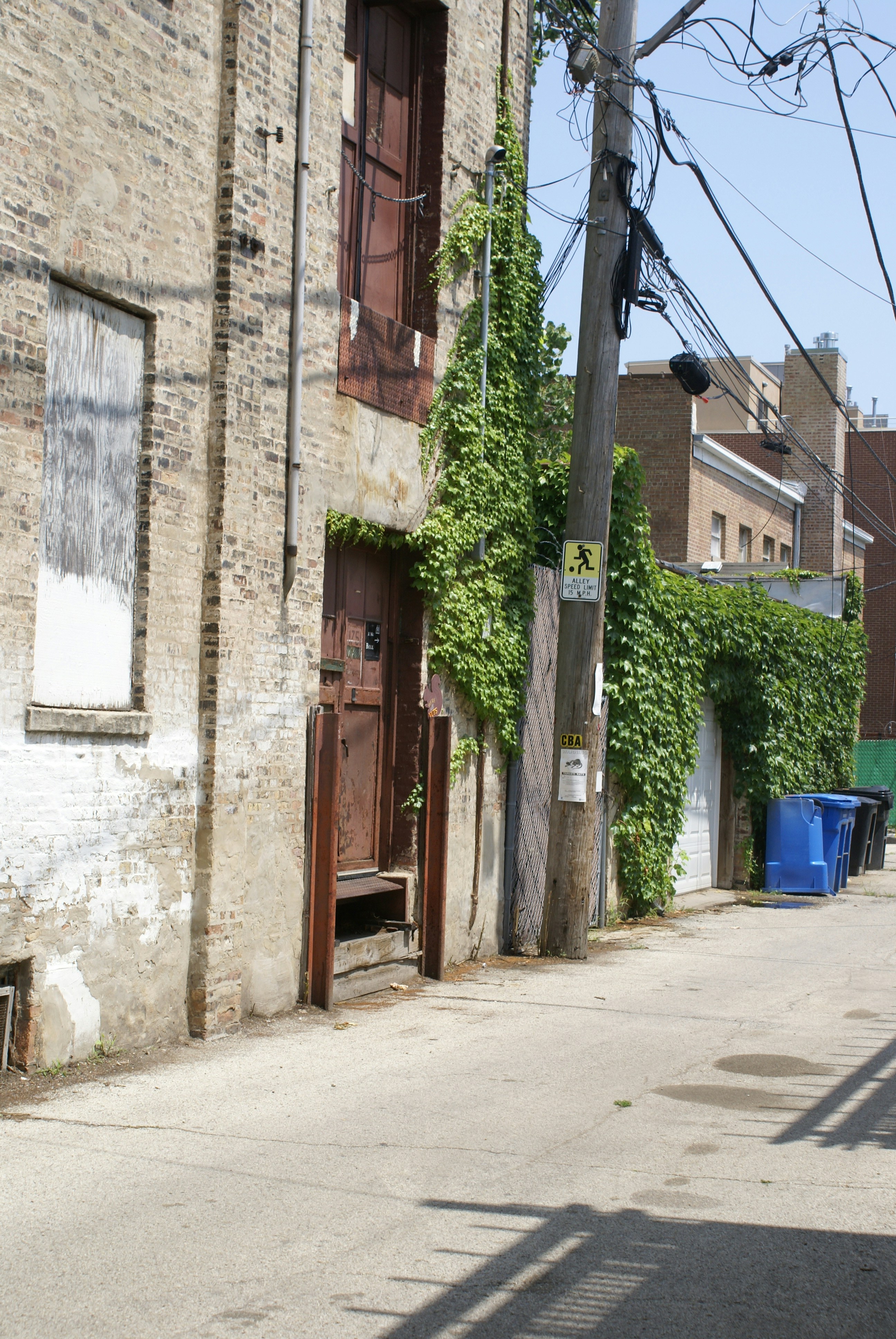 Photo by apaturairis