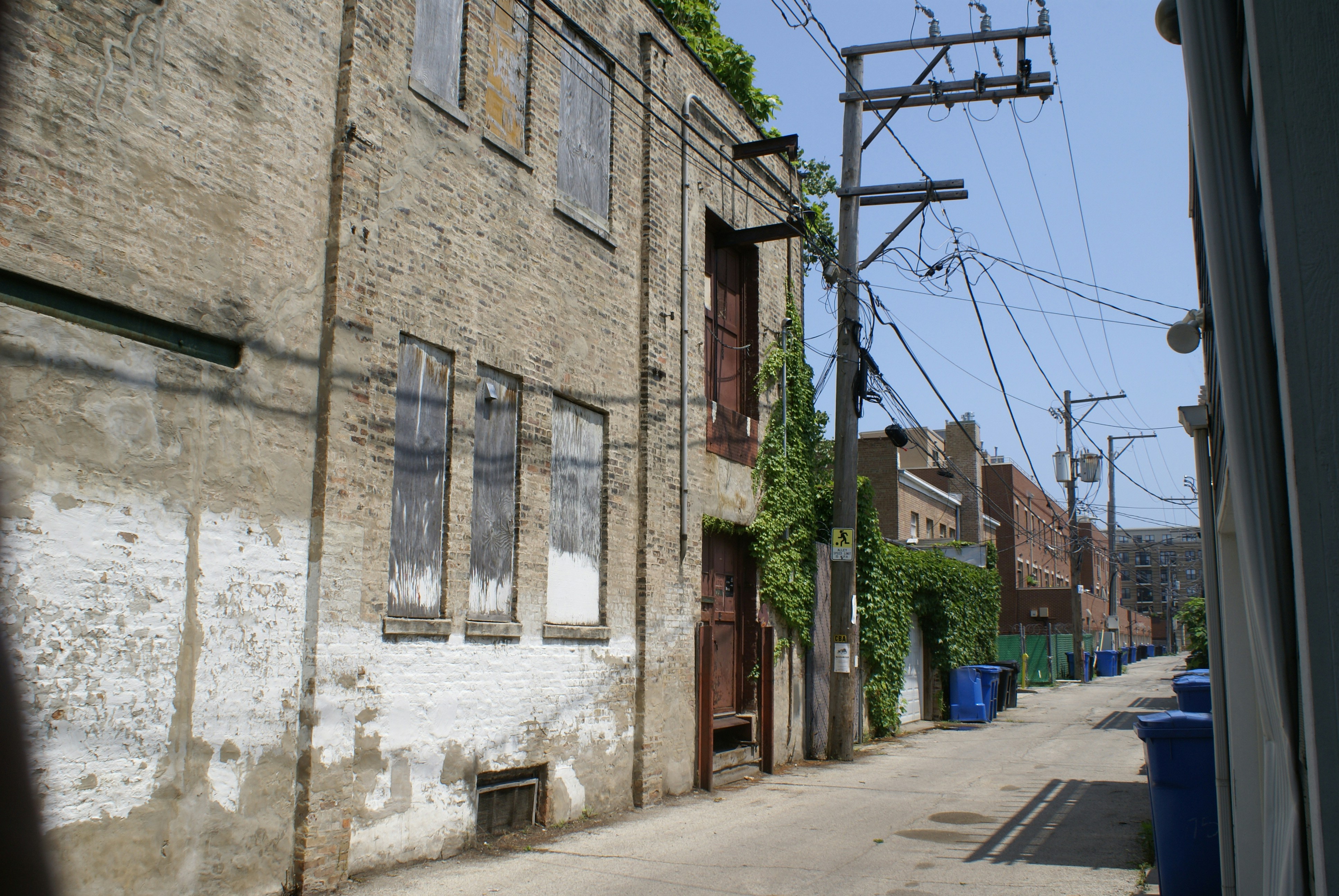 Photo by apaturairis