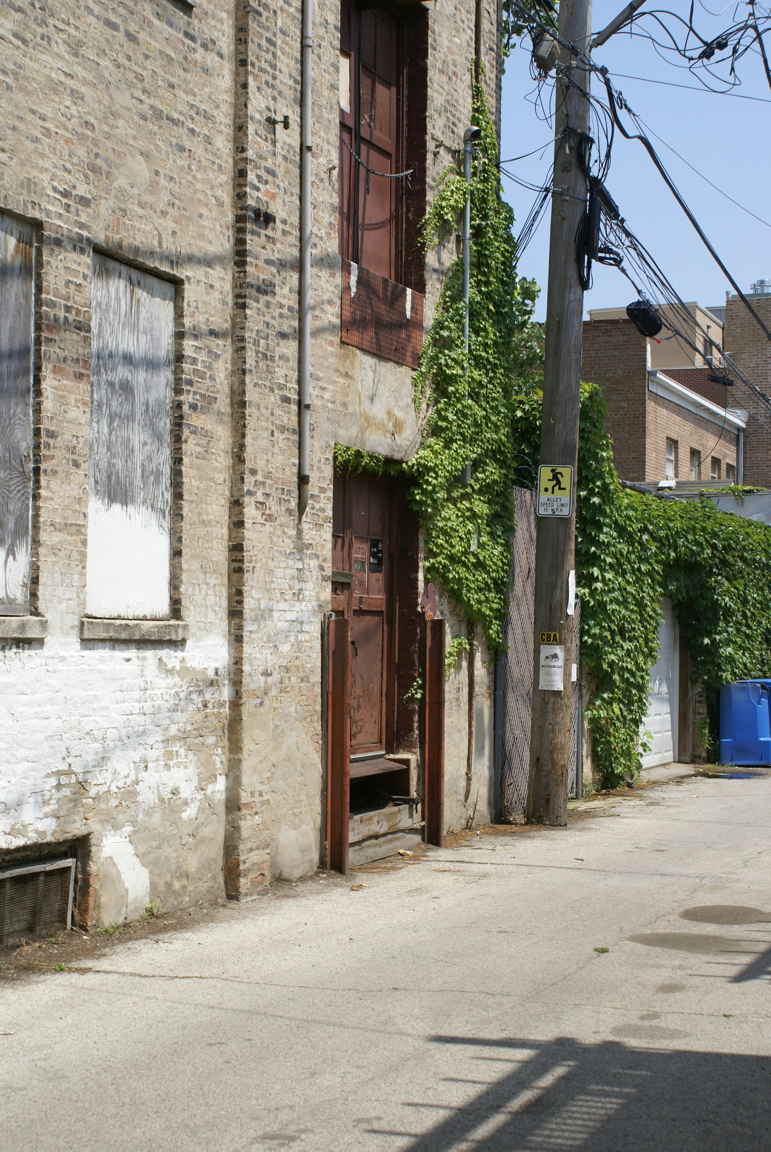 Photo by apaturairis