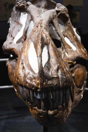 Close-up of a meticulously 3D-printed dinosaur skull displayed on a museum-style pedestal