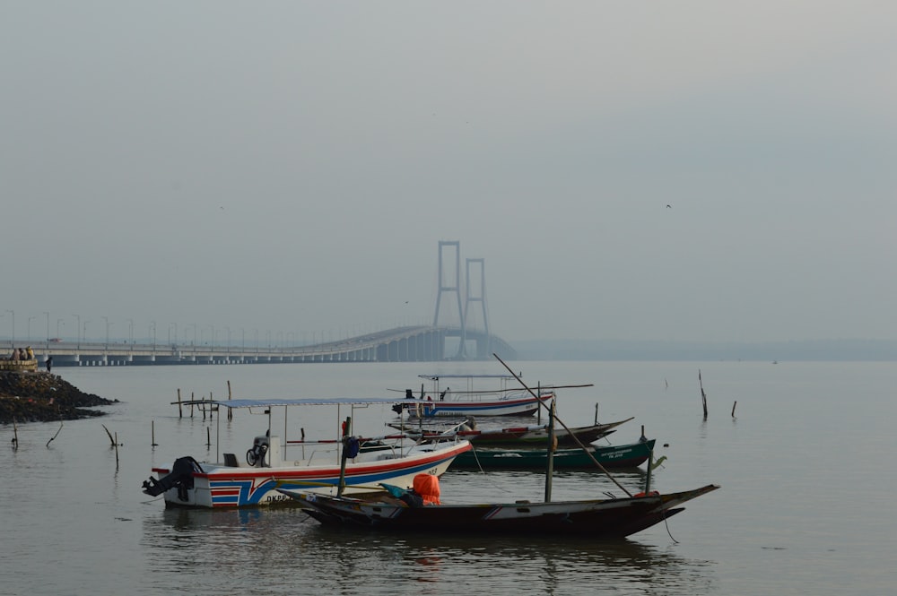 a group of boats floating on top of a body of water