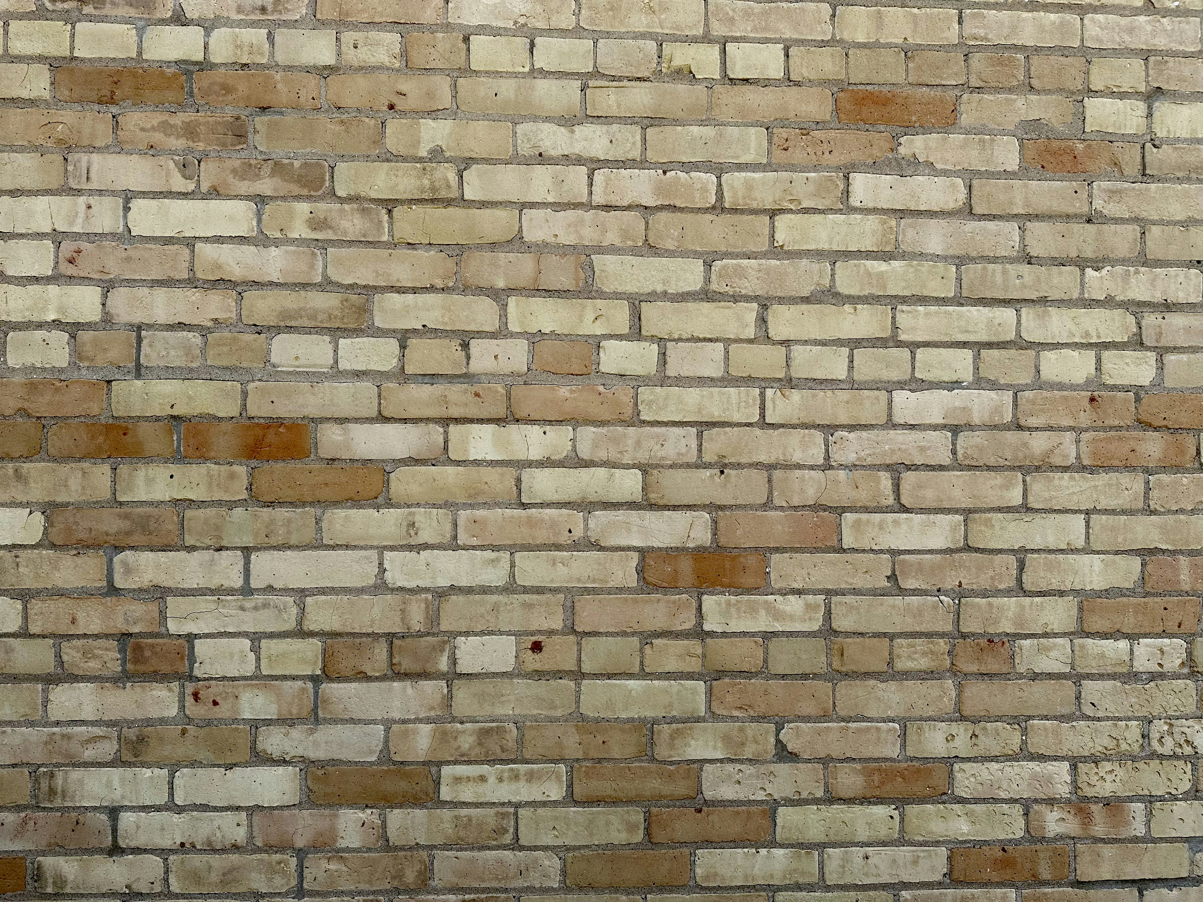 Photo by midkiffaries