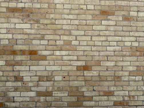 Photo of a recently finished brick masonry wall with smooth plaster in a sunny exterior setting