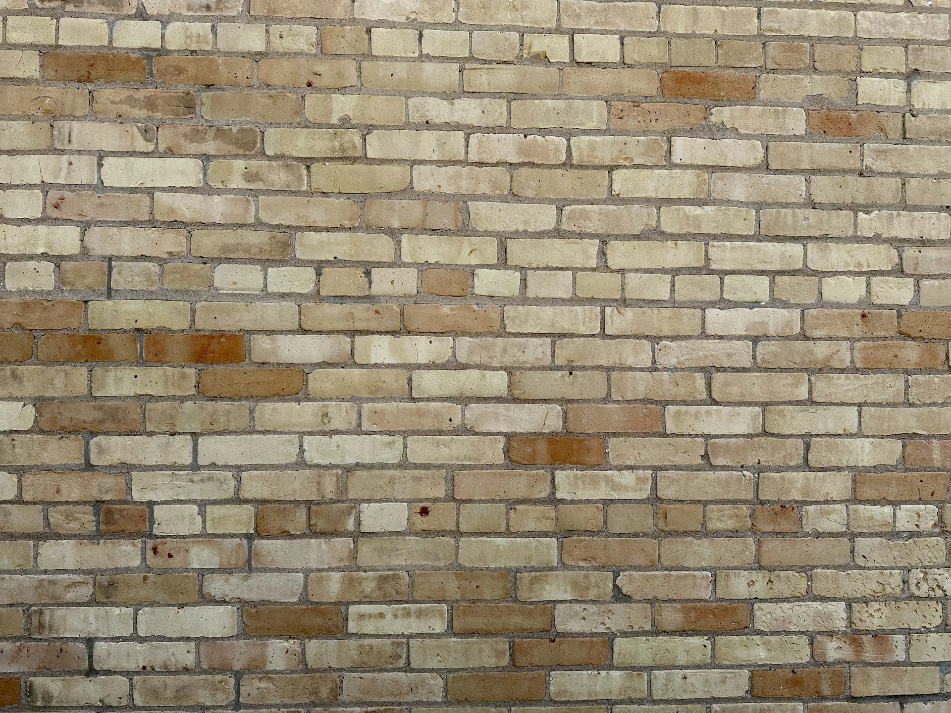 woman wearing yellow long-sleeved dress under white clouds and blue sky during daytime