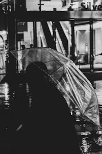 透明雨伞