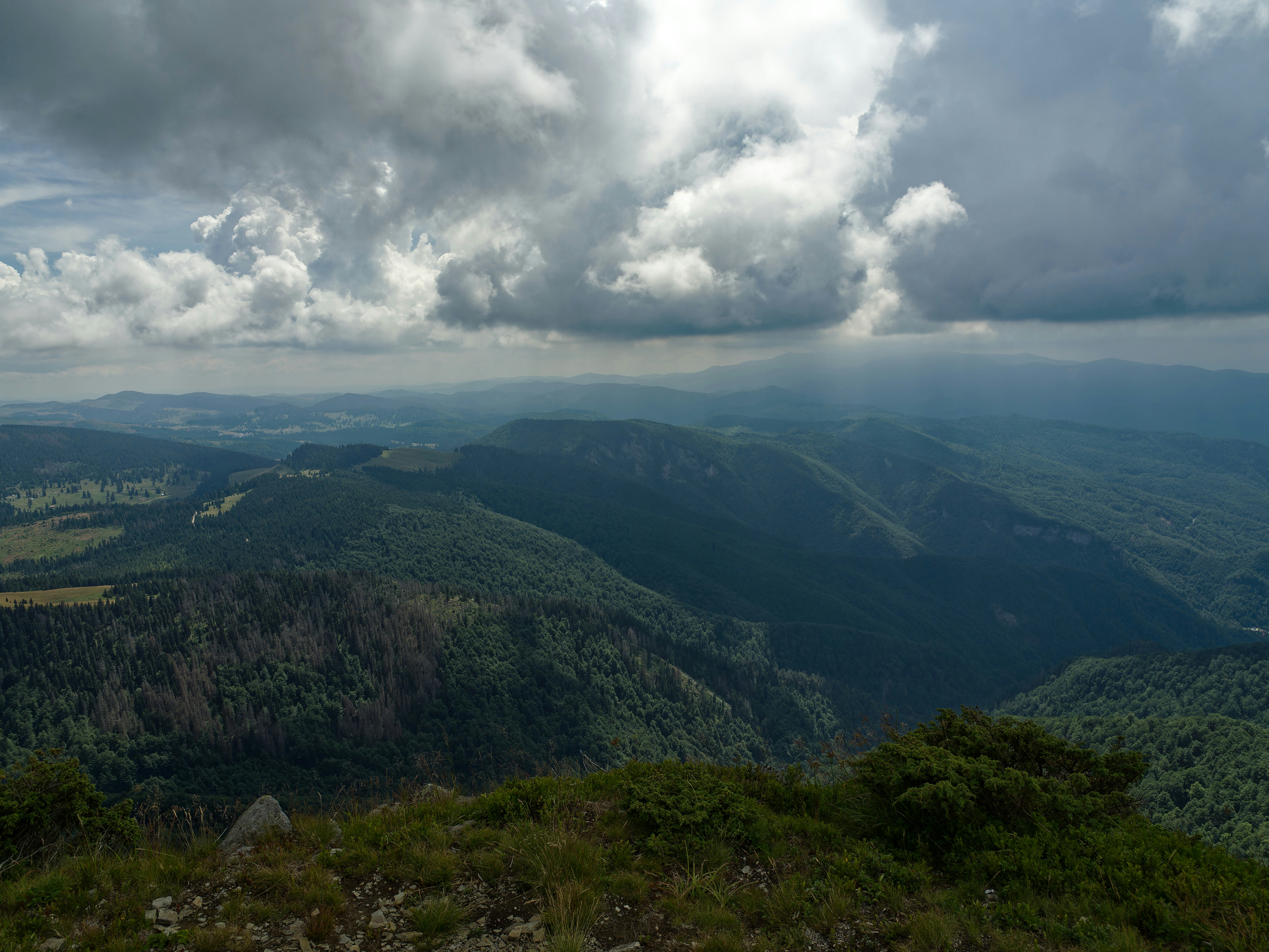 Photo by illes_cristi