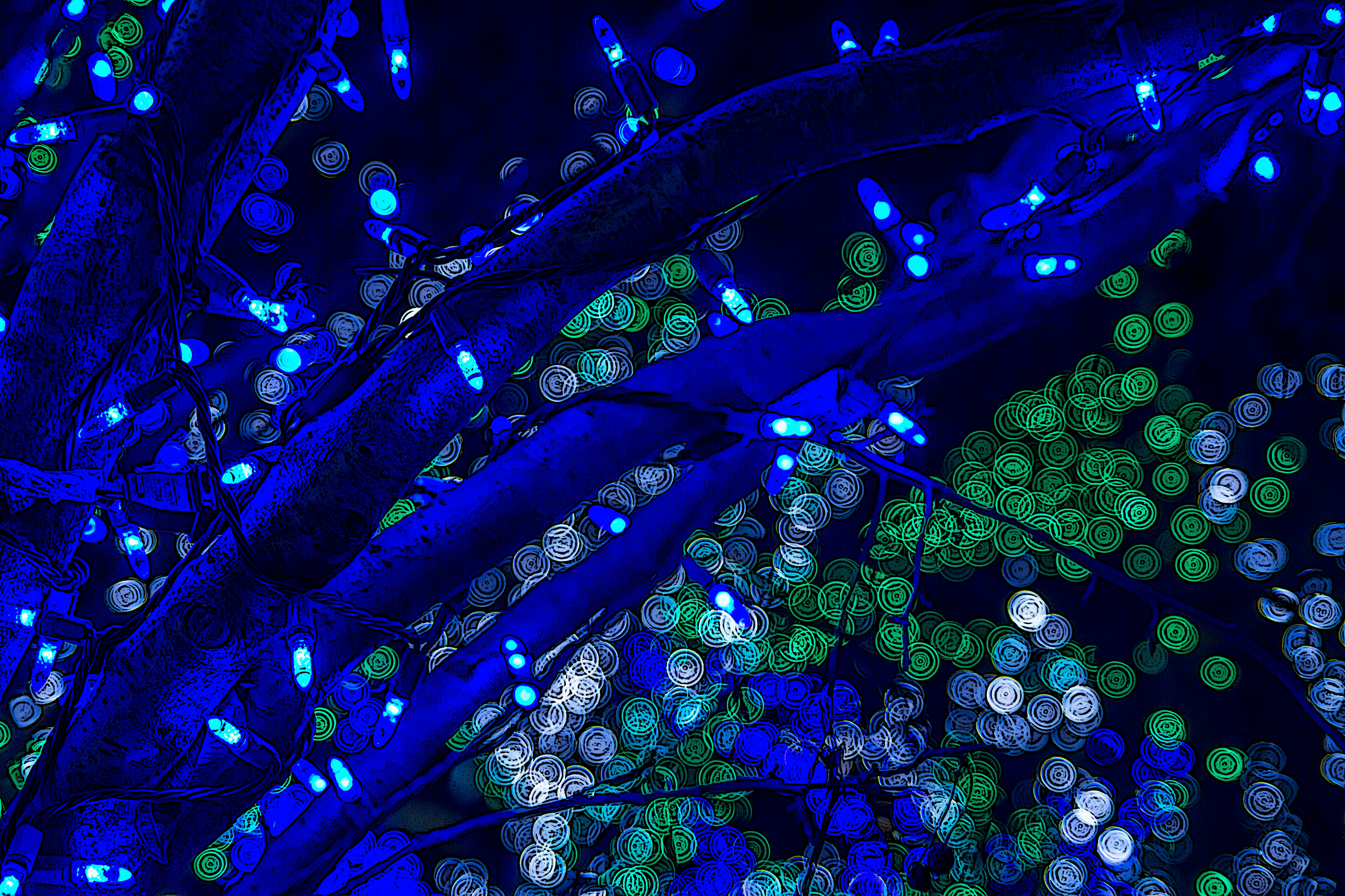 木の上にあるたくさんの光