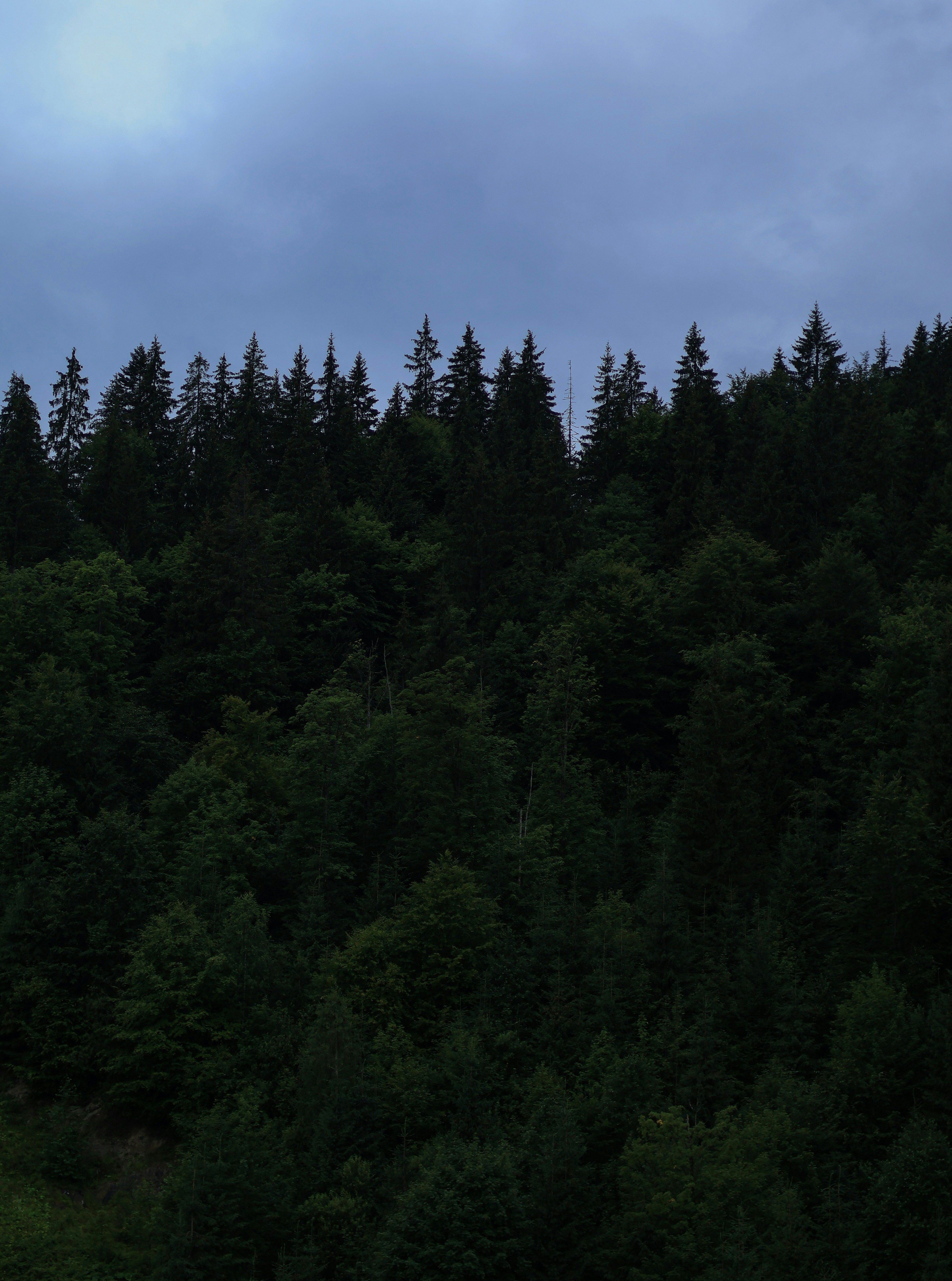 Photo by anyutakejbalo