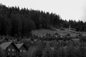 A series of rustic wooden cabins is nestled at the base of a dense, tall forest that climbs up the hillside. The structures are partially obscured by thick trees, and the overcast sky enhances the natural, tranquil setting.