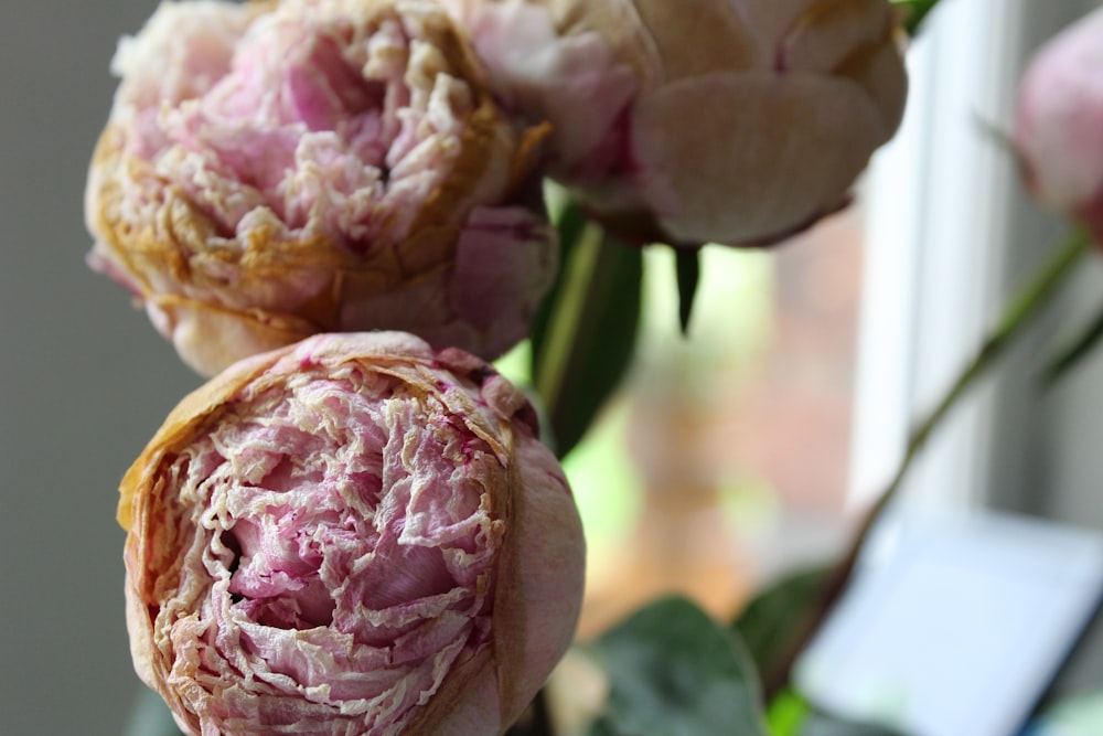 a bunch of flowers that are sitting on a table