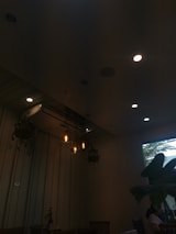 Cozy corner of the pub with warm lighting and plants hanging from the ceiling.