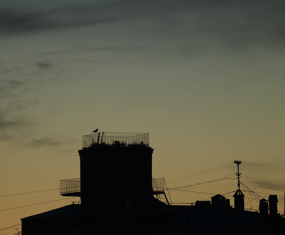 a silhouette of a building with a bird on top of it