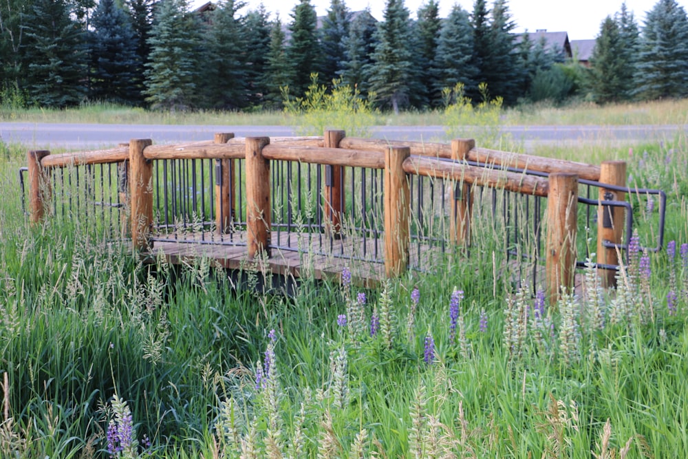 a wooden bridge in a field of tall grass