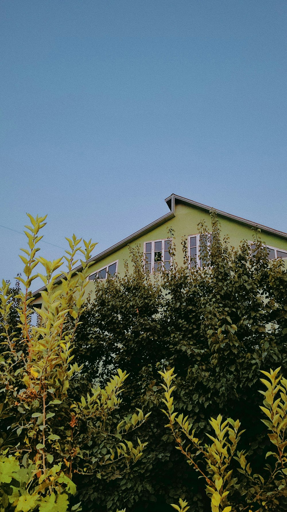 a green building surrounded by trees and bushes