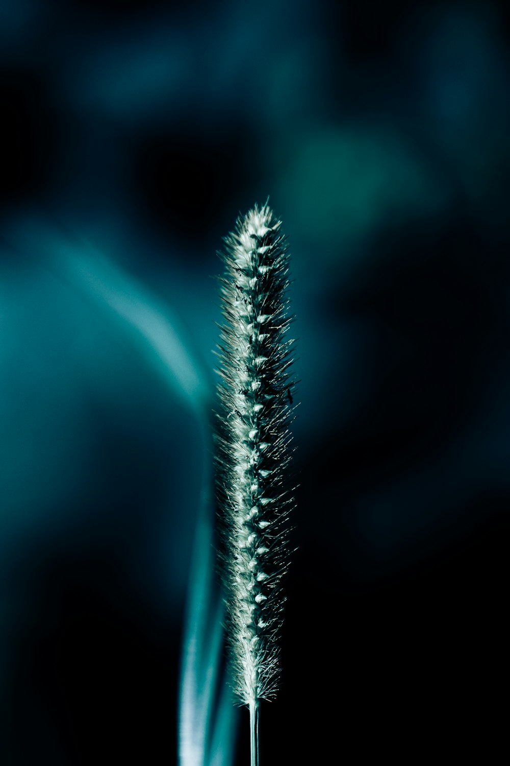 a close up of a toothbrush with a blurry background