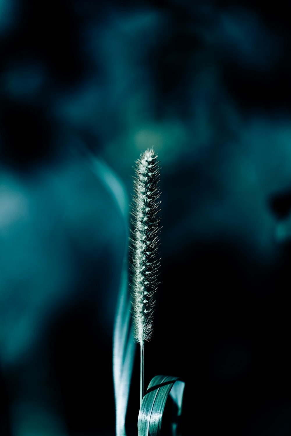 a close up of a toothbrush with a blurry background