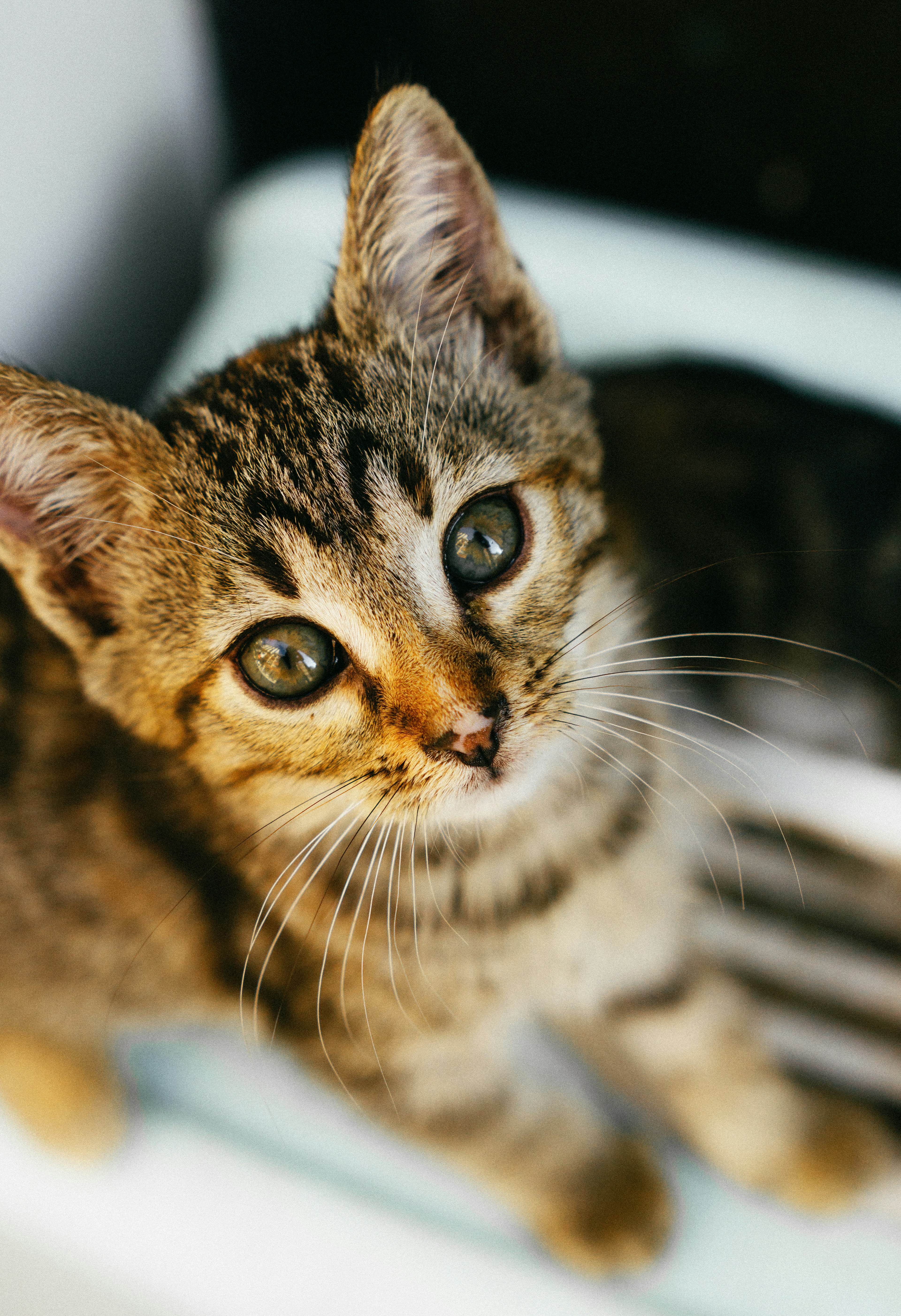 Photo by galleryofmyeye