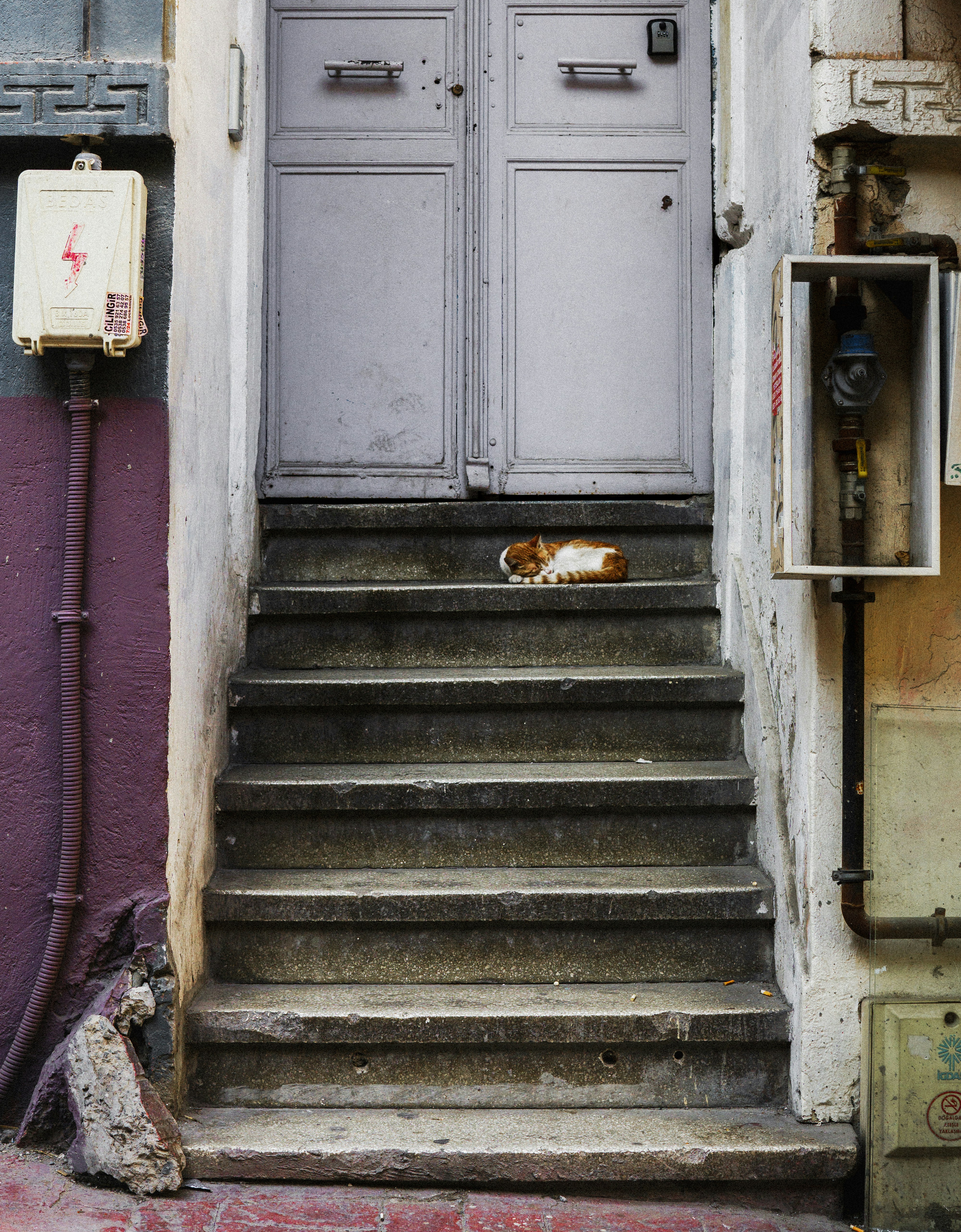 Photo by galleryofmyeye