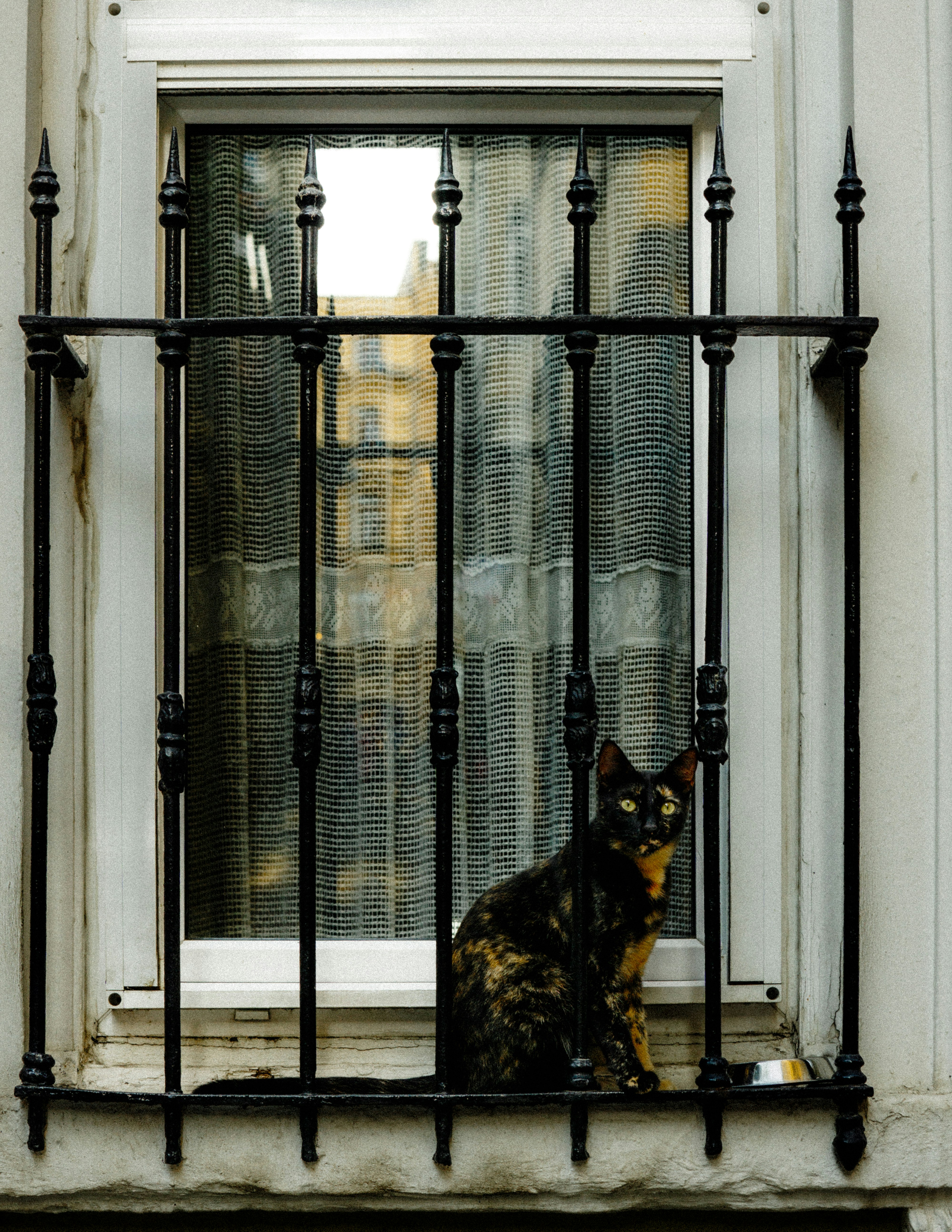 Photo by galleryofmyeye