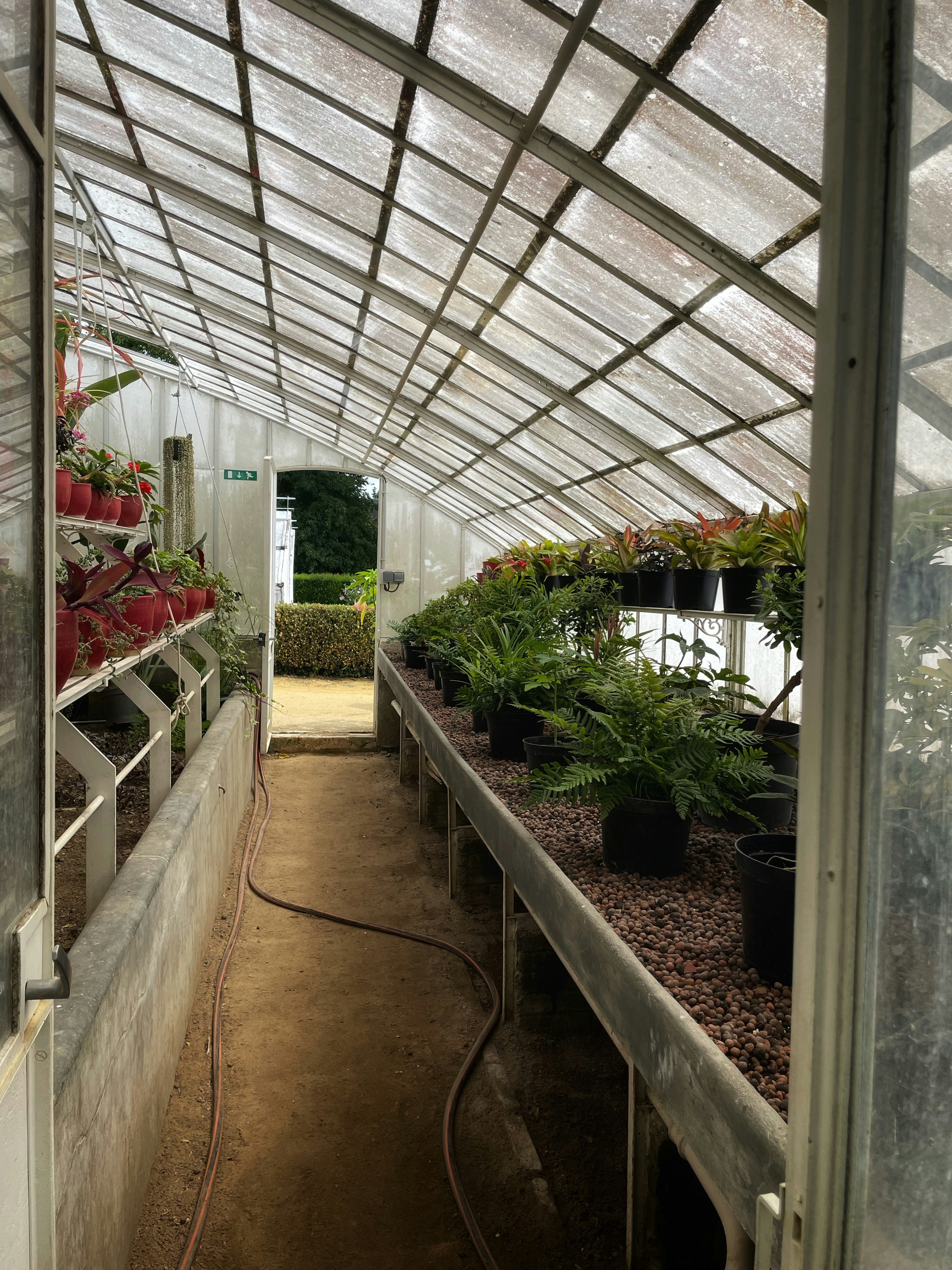 Quarantine Setup for New Plants