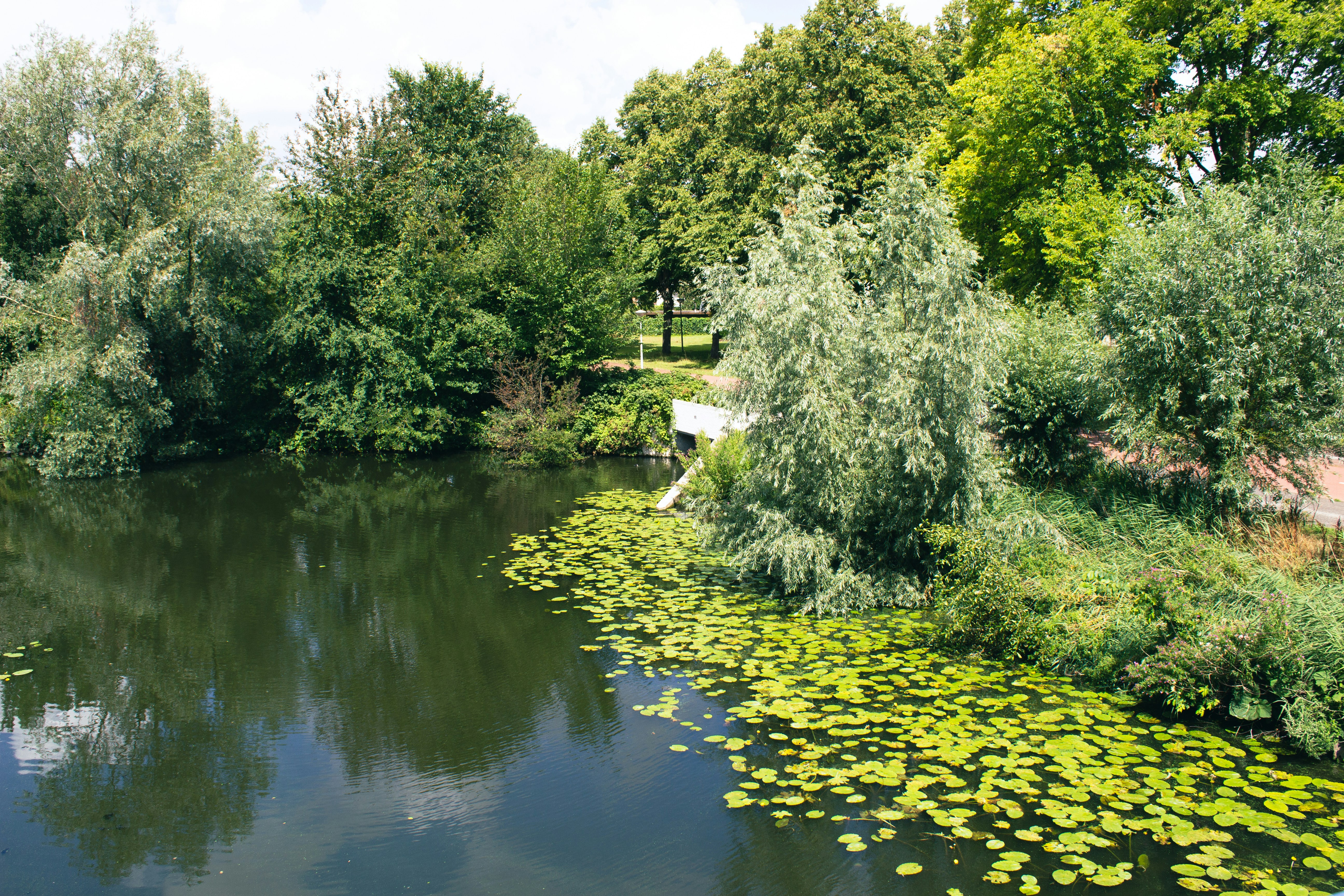 Photo by jaytearjerky