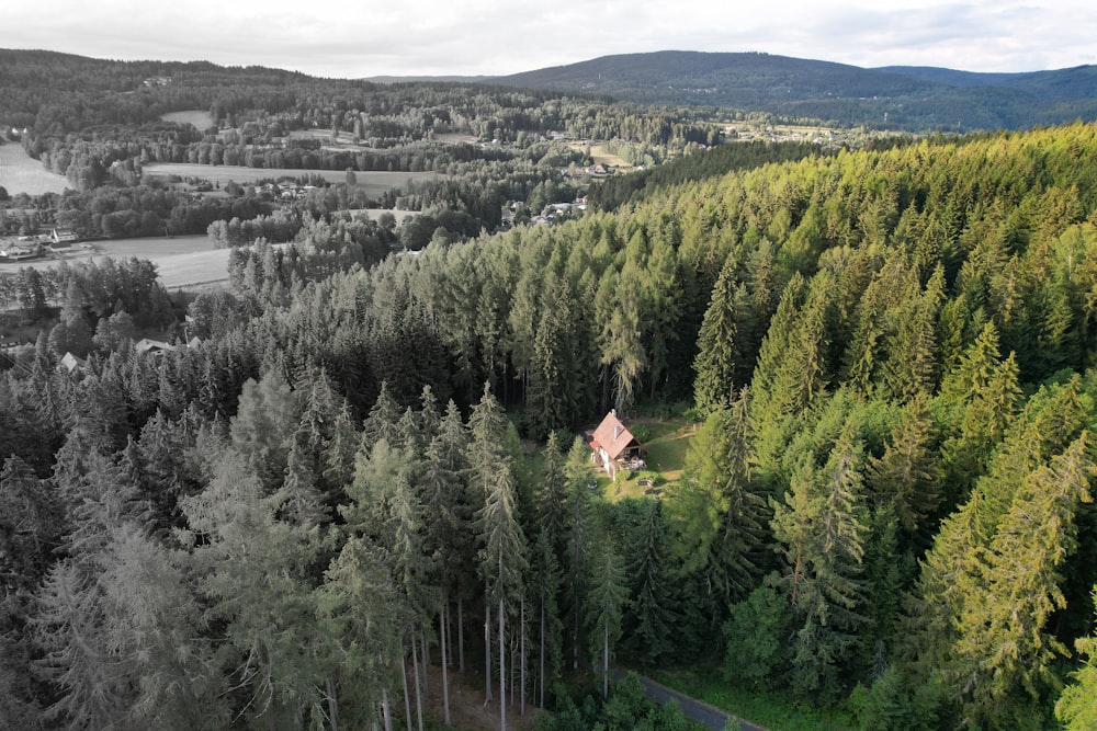 a house in the middle of a forest