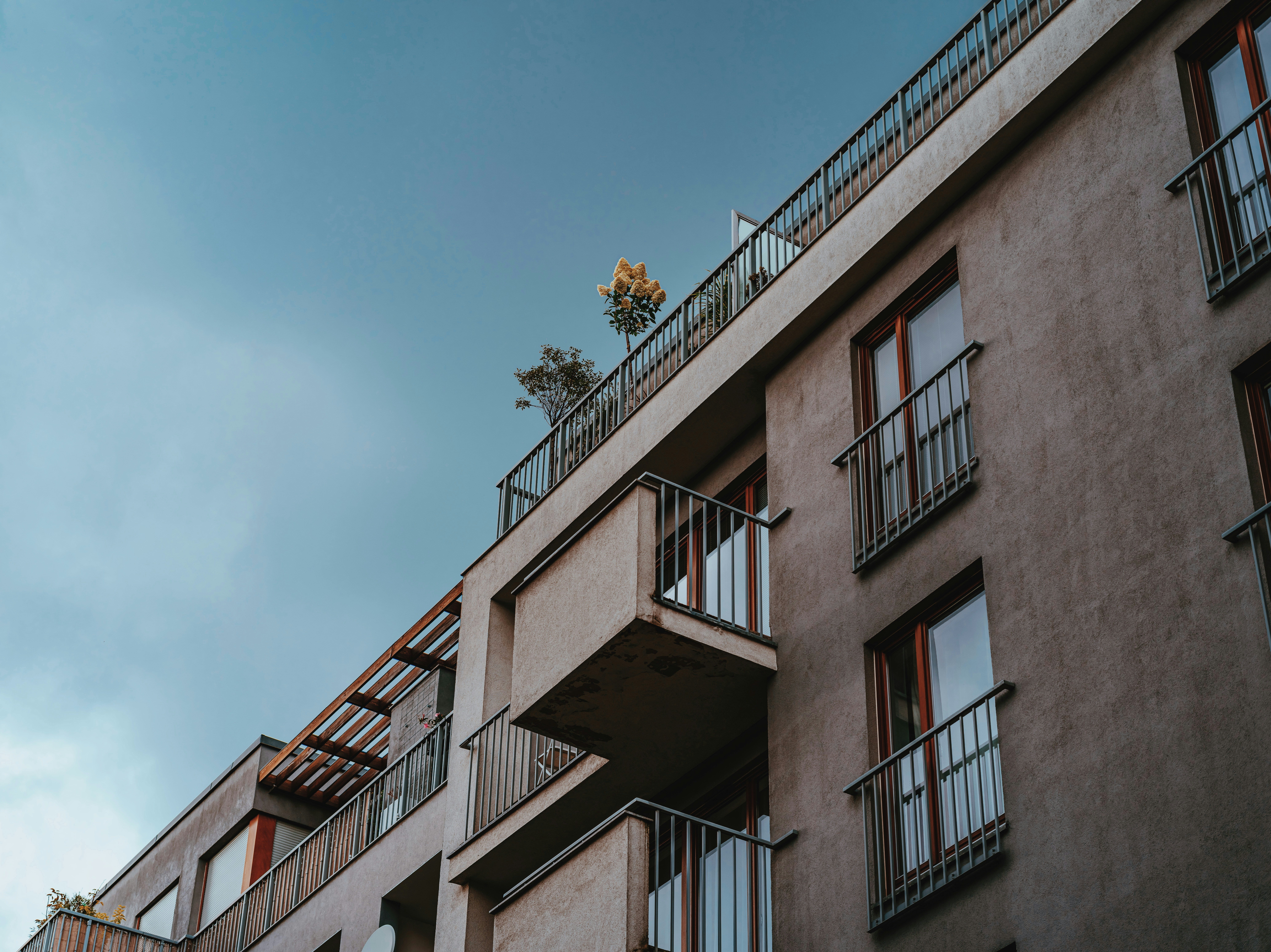 Photo by egorkomarov