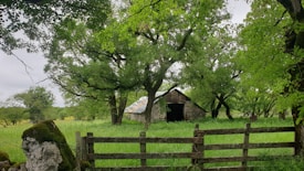 A rustic stone barn with a wooden roof stands amidst a lush, green landscape. Surrounding the barn are tall, leafy trees casting dappled shadows on the grass. In the foreground, a weathered wooden fence adds to the rural charm, while a moss-covered rock sits by the fence.