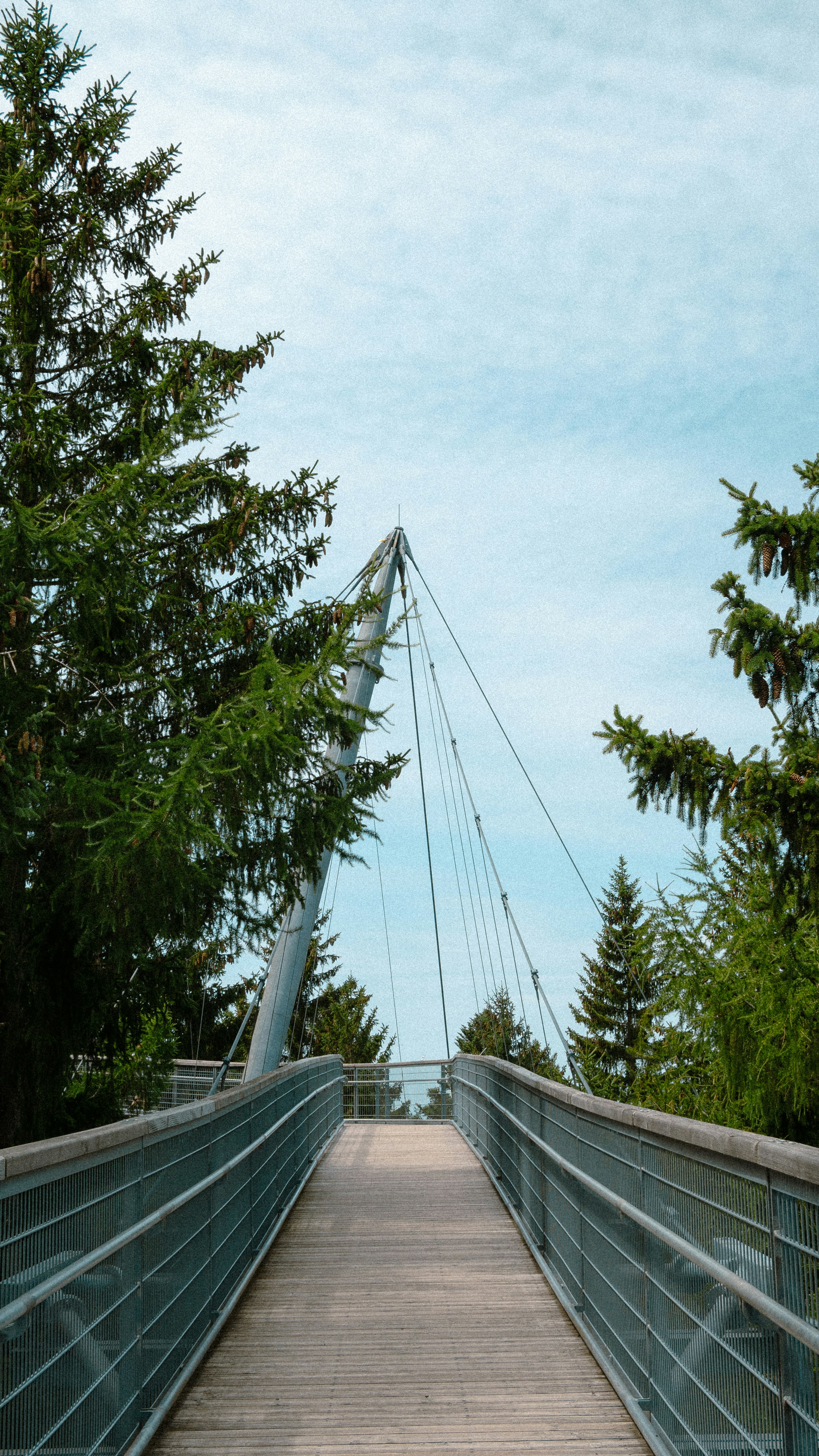 金属製の手すりが付いた木製の橋