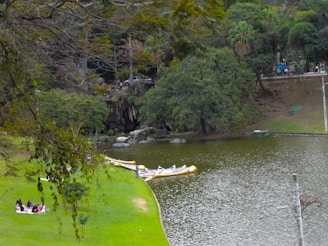 A serene landscape featuring a family enjoying a picnic in a park.