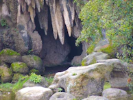 Lush jungle plants surrounding the rocky entrance to the cenote.