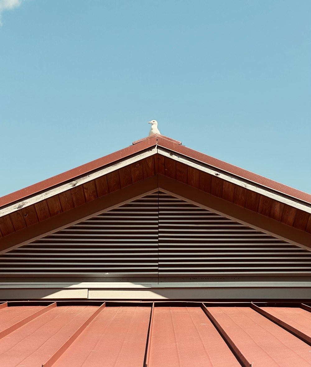 a bird is sitting on top of a roof