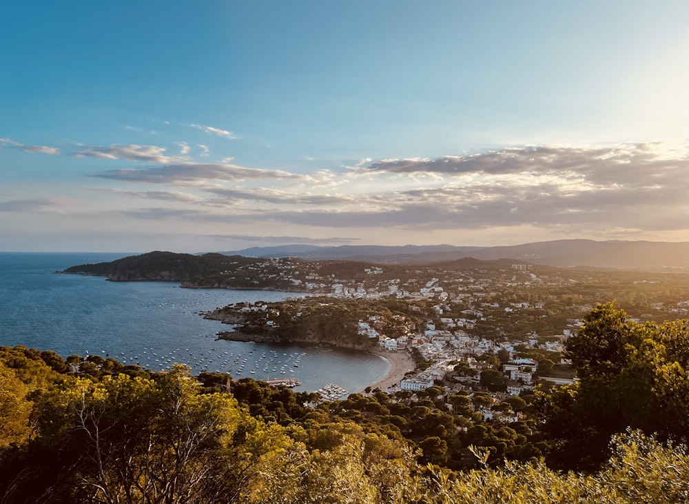 a scenic view of a town and a body of water