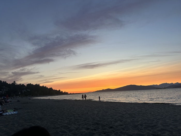 Photo 1690760889933 Ca7695c44bf1?q=85&w=700&h=730&fit=crop