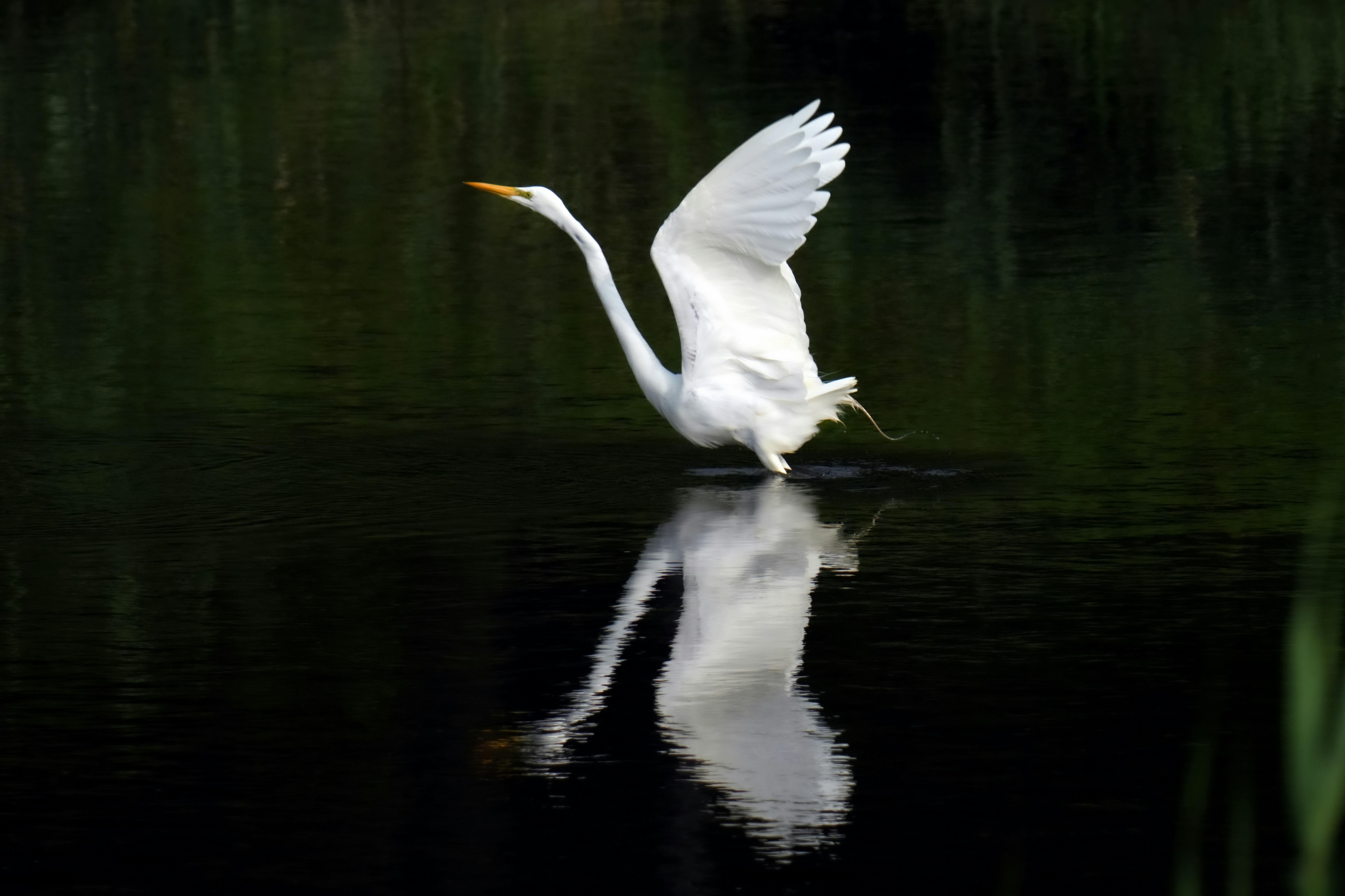 Photo by kim_dae_jeung