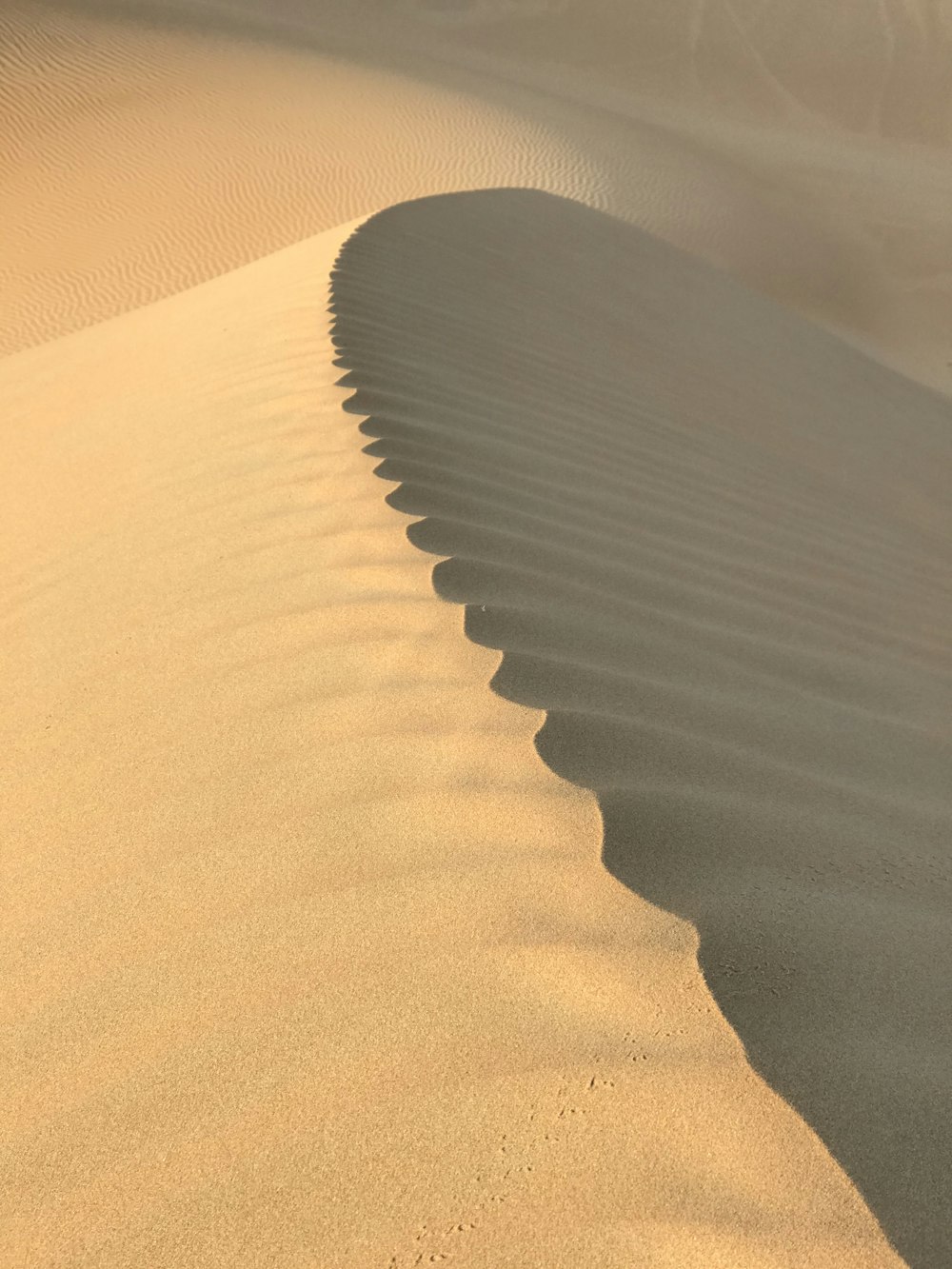 a sand dune in the middle of a desert