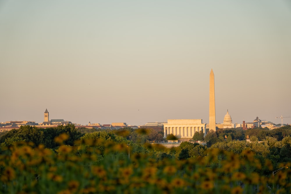 a view of the washington monument from a distance