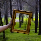 A person holds a golden picture frame in the middle of a forest. The frame, held by a hand, aligns with the forest background, giving it a framed view of trees and greenery.