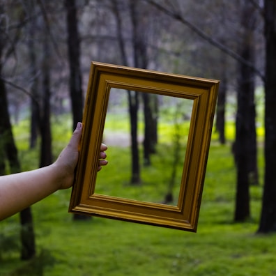 A person holds a golden picture frame in the middle of a forest. The frame, held by a hand, aligns with the forest background, giving it a framed view of trees and greenery.