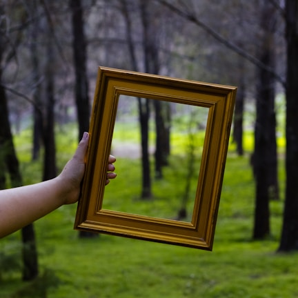 A person holds a golden picture frame in the middle of a forest. The frame, held by a hand, aligns with the forest background, giving it a framed view of trees and greenery.
