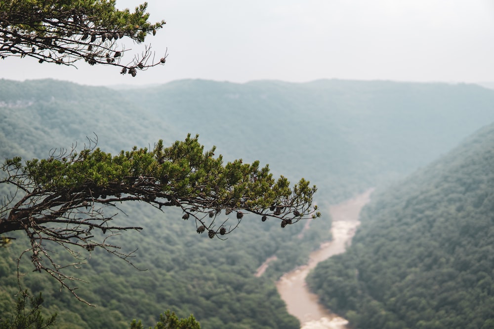 a view of a river from a high point of view