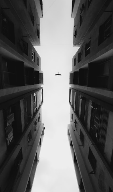 a black and white photo of a plane flying in the sky