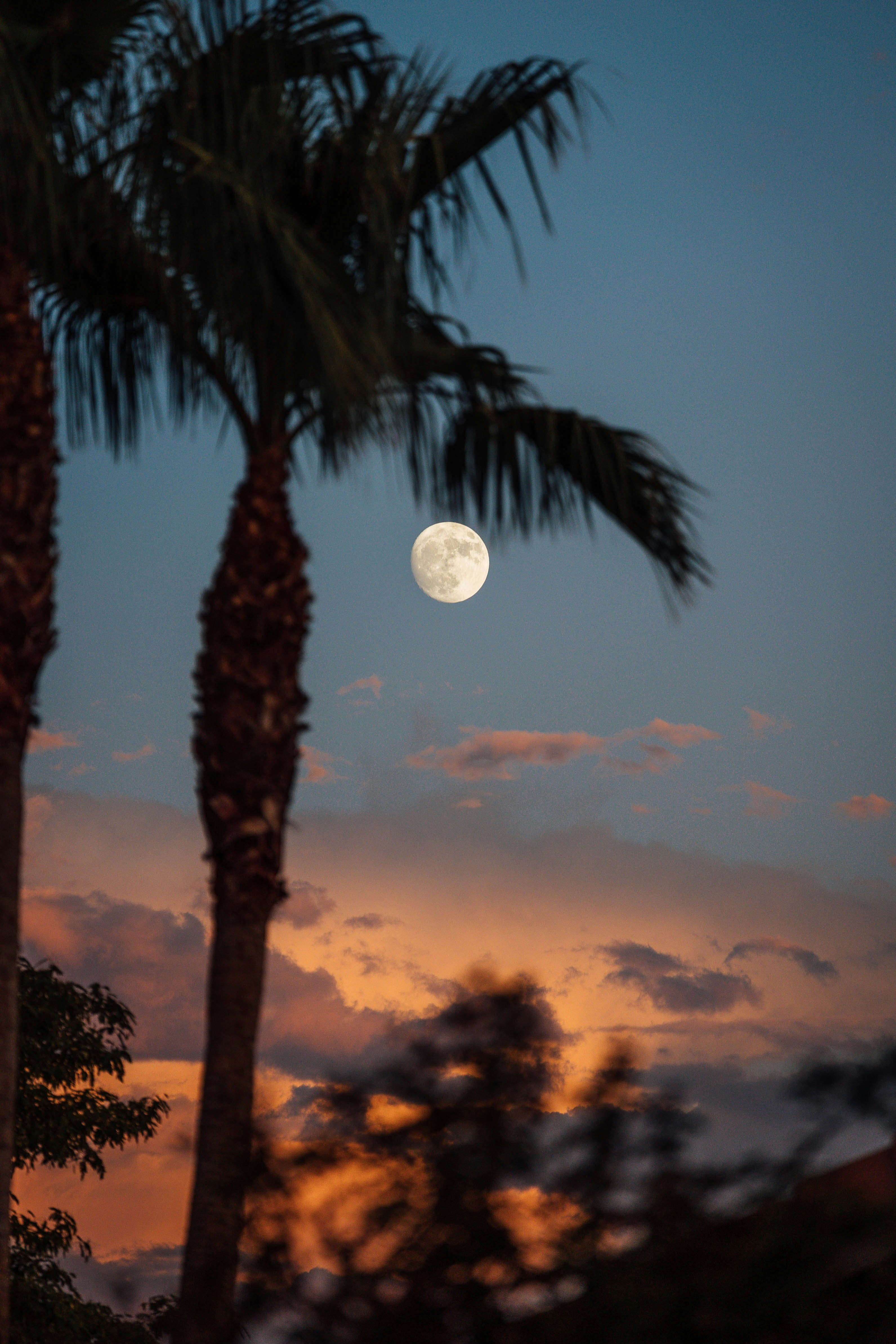 Photo by jeffersonsees