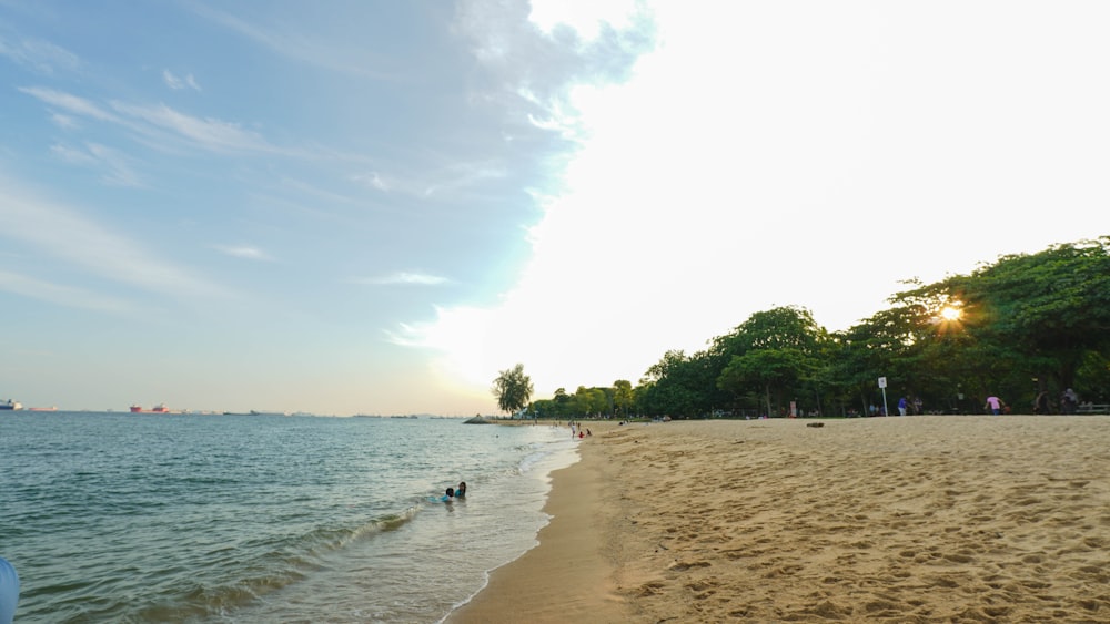 a sandy beach with people walking on it