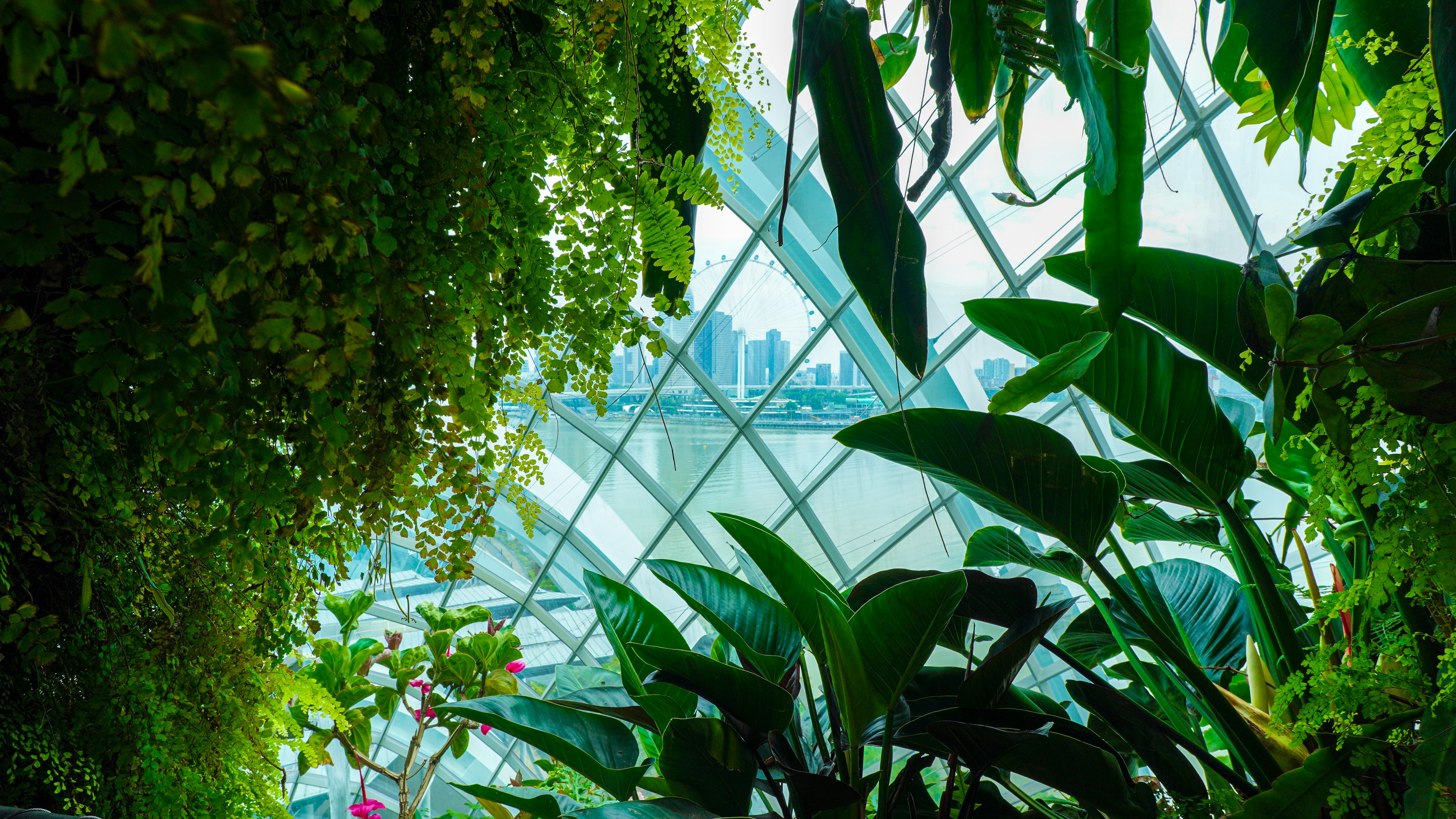 Photo by jeyachanthuruj