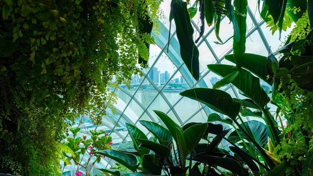 the inside of a building with a lot of plants