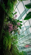 An indoor garden setting with various green plants, ferns, and pink flowers growing vertically. The background features large glass panels providing a view of urban buildings and a partially cloudy sky. The combination of natural greenery with an urban landscape creates a contrast between nature and city life.