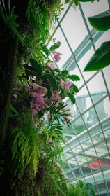 An indoor garden setting with various green plants, ferns, and pink flowers growing vertically. The background features large glass panels providing a view of urban buildings and a partially cloudy sky. The combination of natural greenery with an urban landscape creates a contrast between nature and city life.