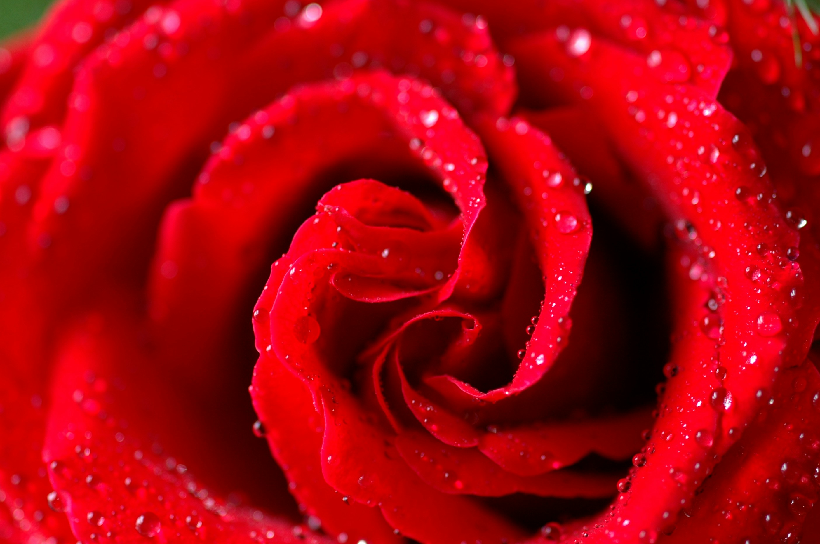 Photo by spiritofgypsy